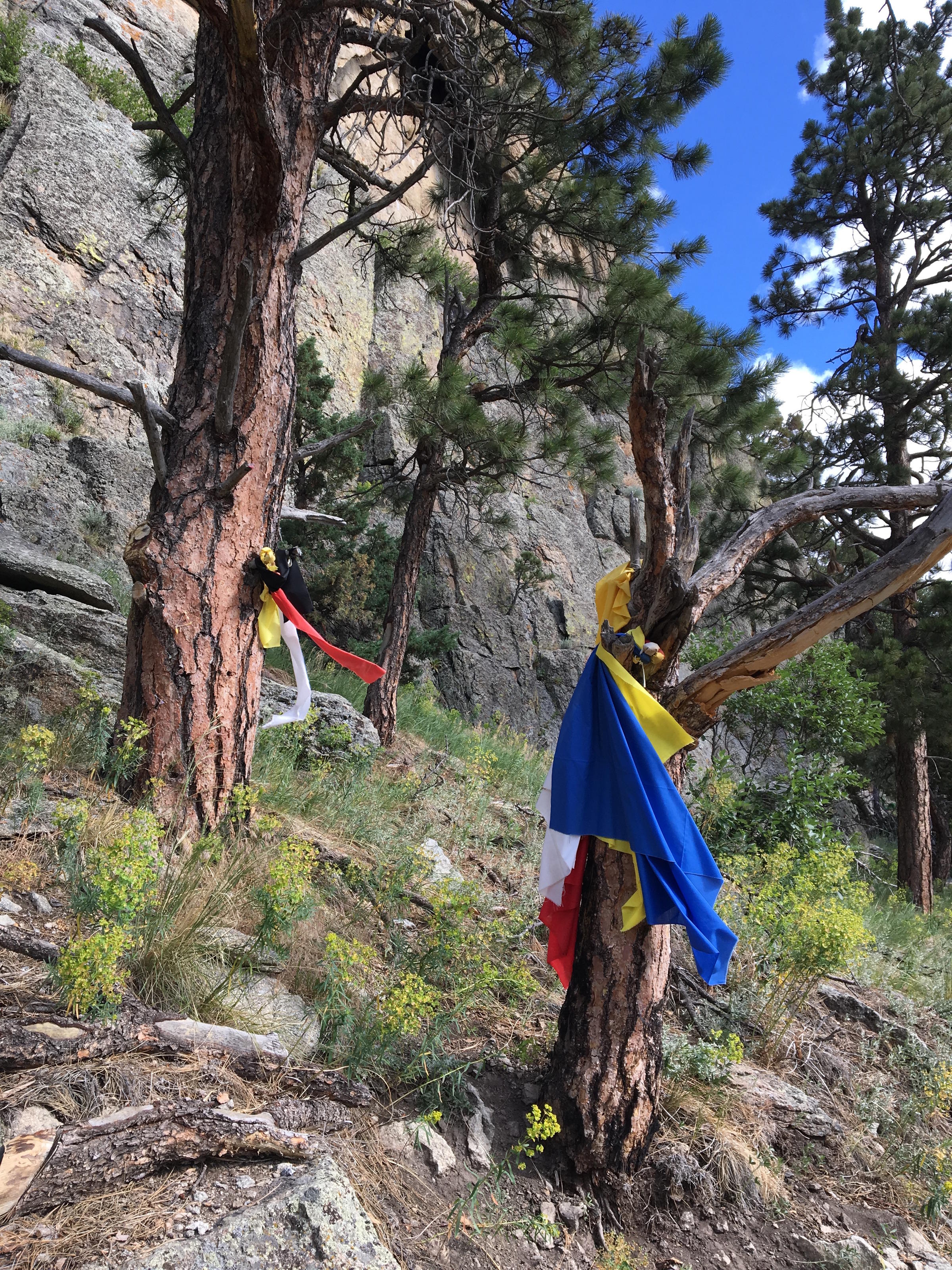 Prayer Flags | Devils Tower