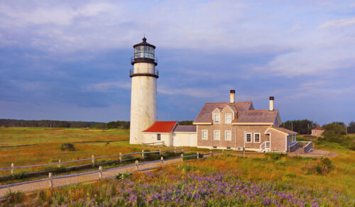 Exploring the beaches and dunes of Cape Cod National Seashore as a family.